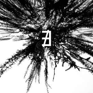 Cold Oblivion Vastness - ∄